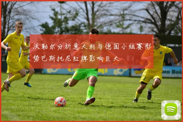 沃勒尔分析意大利与德国小组赛形势巴斯托尼红牌影响巨大