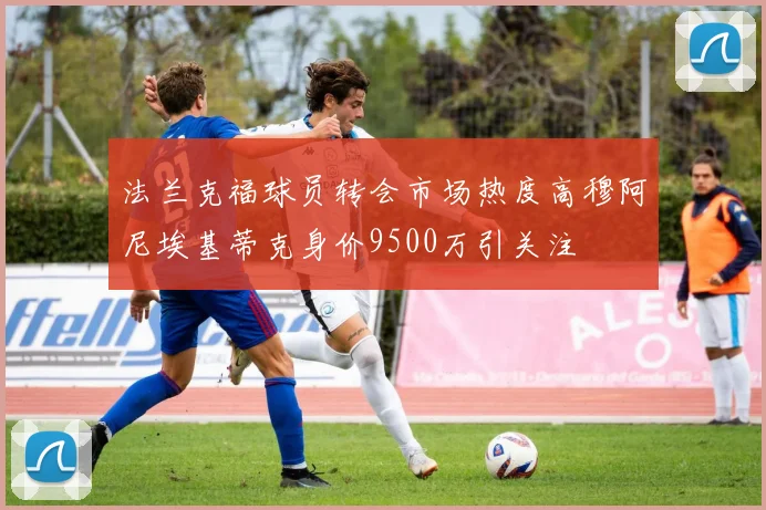 法兰克福球员转会市场热度高穆阿尼埃基蒂克身价9500万引关注